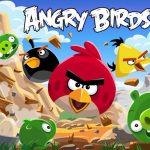 Angry Bird Jungle