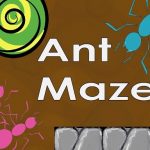 ant maze