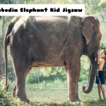 Cambodia Elephant Kid Jigsaw