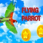 Flying Parrot