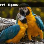 Parrot Jigsaw